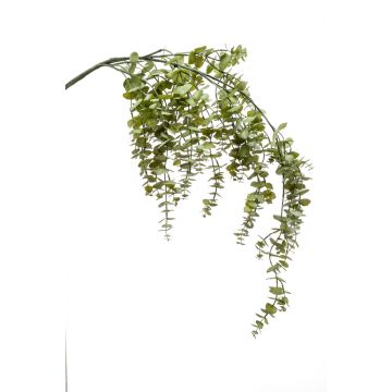 Dekozweig Eukalyptus PINORO, grün, 120cm