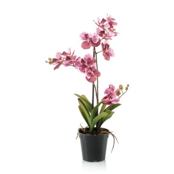Kunstblume Vanda Orchidee CAMPO, rosa-pink, 60cm