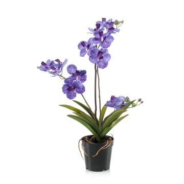 Kunstblume Vanda Orchidee CAMPO, violett, 60cm