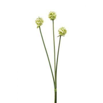 Künstlicher Allium Blüten Bund LAMDA, creme-grün, 65cm, Ø4cm