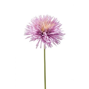 Dekoblume Chrysantheme KISANNA, lila-lachs, 60cm, Ø13cm 