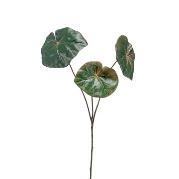 Kunst Blattbegonien Zweig ANTALINA, grün, 65cm