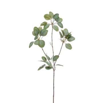 Künstlicher Eukalptus KRISZTOFER, grün, 90cm
