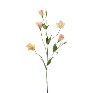 Unechter Lisianthus PAZAN, rosa-creme, 70cm, Ø3-5cm