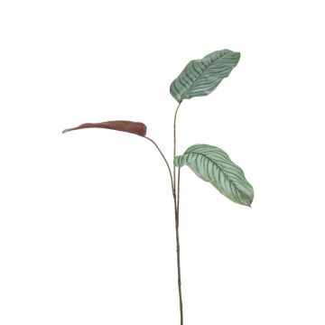 Kunstzweig Calathea Orbifolia SEGINUS, grün-weiß, 110cm