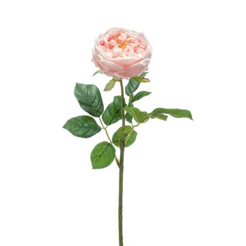 Textilblume Kohl-Rose CATINCA, zartrosa, 60cmm, Ø9cm