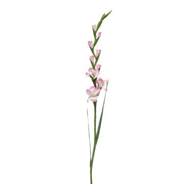 Künstliche Gladiole AJNUR, rosa-weiß, 125cm