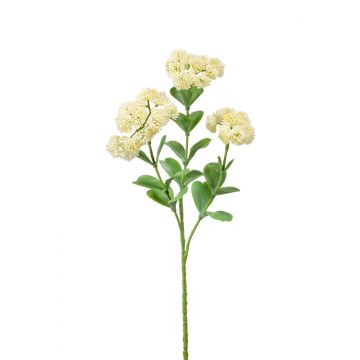 Künstliche Sedum spectabile Blüte EUFRASIA, creme, 55cm