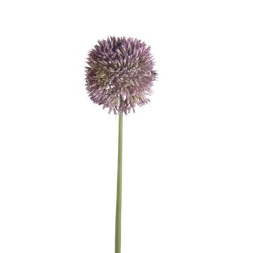 Künstlicher Allium NATASHA, lila, 65cm, Ø10cm