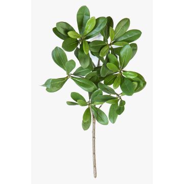 Künstlicher Zweig Klebsamen MASON, schwer entflammbar, grün, 40cm