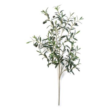 Künstlicher Olivenzweig LORRIS, Früchte, grün, 110cm