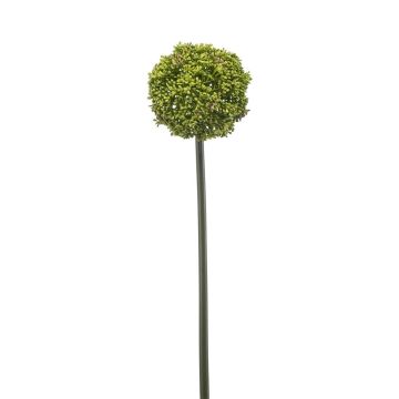 Allium künstlich TUXLON, grün, 75cm