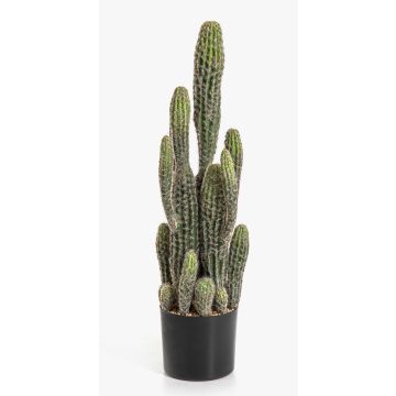 Künstlicher Kaktus San Pedro FARIN, grün, 75cm