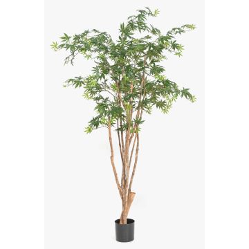 Kunstpflanze Japanischer Ahornbaum ILIANU, Echtstämme, grün, 180cm