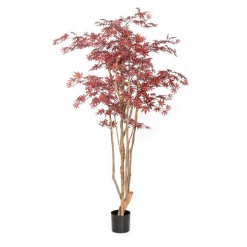 Kunstpflanze Japanischer Ahornbaum ILIANU, Echtstämme, rot, 180cm