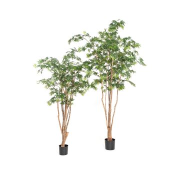 Kunstpflanze Japanischer Ahornbaum ILIANU, Echtstämme, grün, 240cm