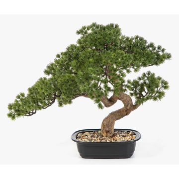 Kunst Bonsai Pinie KANYA in Pflanzschale, 45cm