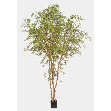 Kunstpflanze Japanischer Ahornbaum ZEDRIC, Echtstamm, grün, 330cm