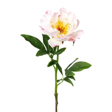 Kunstblume Pfingstrose PEFIN, rosa, 50cm