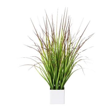 Kunst Japanisches Blutgras SANZA im Dekotopf, grün-rot, 75cm