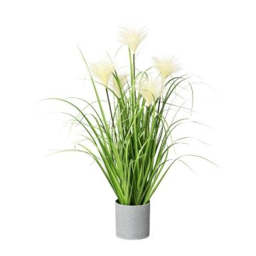Dekogras Pampasgras VILMO im Dekotopf, Rispen, creme, 65cm