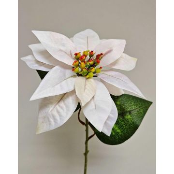 Samt Poinsettia künstlich LIBASSE, weiß-rosa, 45cm