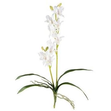 Kunst Dendrobium Sonia Orchidee NELTI, Steckstab, Wurzeln, weiß, 60cm