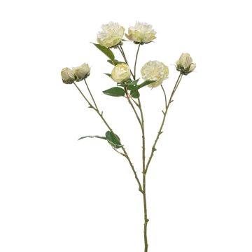 Künstlicher Zweig Kohl-Rose TRUVOL, weiß-grün, 65cm, Ø2-6cm