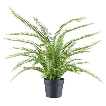Deko Pflanze Schwertfarn ZINTO, Dekotopf, grün, 70cm