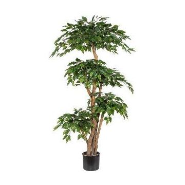 Künstlicher Baum Ficus Benjamini WALNUTA, Naturstämme, 170cm