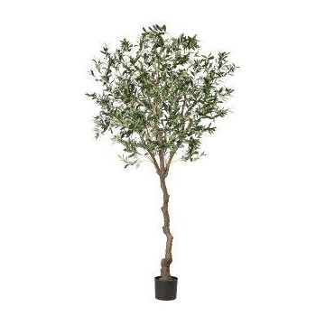 Künstlicher Olivenbaum WILDO, Kunststamm, Früchte, 240cm
