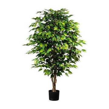 Kunstbaum Ficus Benjamini ARNOMO, Naturstämme, 150cm