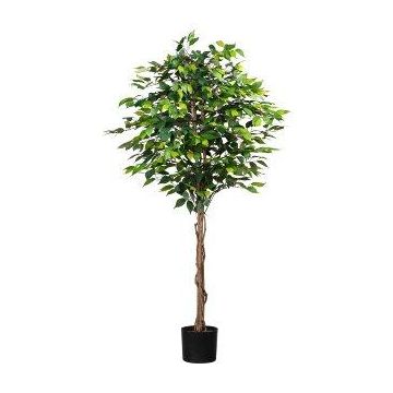 Dekobaum Ficus Benjamini ONIN, Naturstämme, 180cm