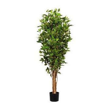 Kunstbaum Ficus Benjamini WOLGA, Naturstamm, crossdoor, 150cm