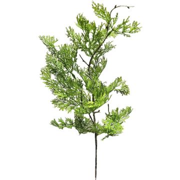Deko Zweig Thuja BIRLAF, grün-gelb, 60cm
