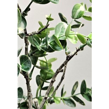 Kunstzweig Eukalyptus NEKFAR, grün-grau, 60cm