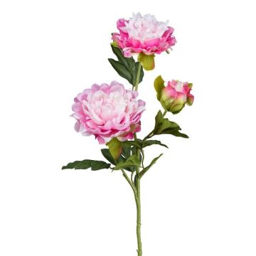 Kunstblumen Zweig Pfingstrose SLORMEK, rosa-weiß, 65cm