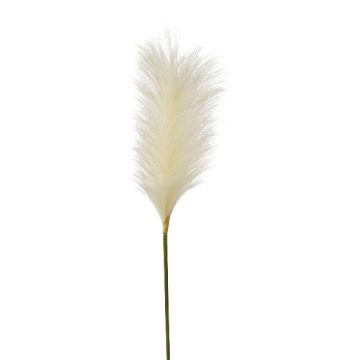 Künstliche Pampasgras Rispe QUAVI, creme, 100cm