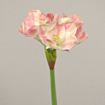 Plastikblume Amaryllis MIKUN, rosa-weiß, 55cm, Ø6-10cm