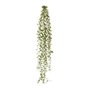 Kunsthänger Mühlenbeckia ZEHANL, Steckstab, grün, 70cm