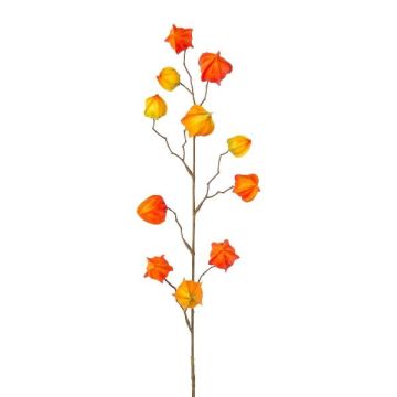 Deko Zweig Physalis LISOP mit Früchten, orange-gelb, 80cm