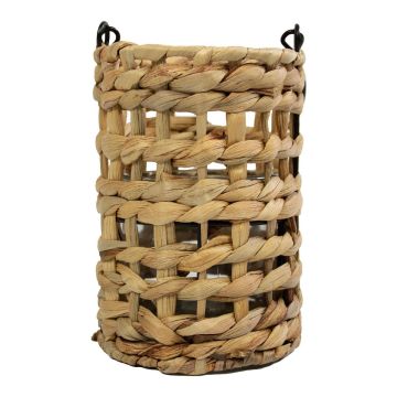 Naturfaser Laterne RICHARDA, Wasserhyazinthe, Henkel, Glaseinsatz, braun, 17cm, Ø12cm