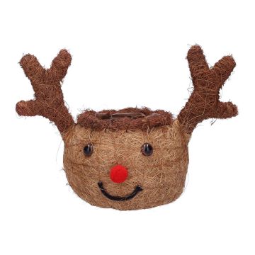 Reisig Blumenkorb LISSO, Reniter Kopf, karamell, 27x15,8x19cm