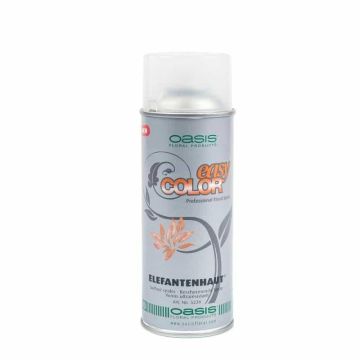 Oasis Elefantenhaut Spray HARRISON, Trockenblumen, transparent, 400ml Oasis Elefantenhaut Spray HARRISON, Trockenblumen, transparent, 400ml