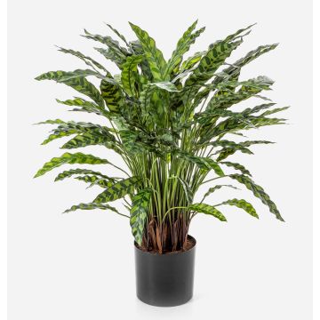 Kunstpflanze Pflanze Calathea Rufibarba ADELFRIEDE, grün, 90cm
