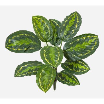 Kunstpflanze Calathea Medaillon FLEURETTA, Steckstab, grün-gelb, 50cm