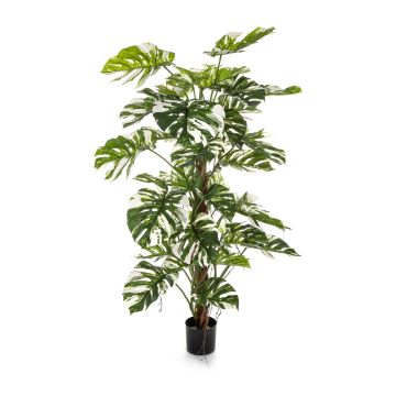 Deko Philodendron Monstera Deliciosa Variegata MEBSUTA, grün-weiß, 160cm