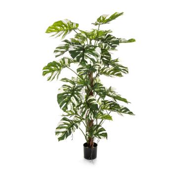 Kunstpflanze Philodendron Monstera Deliciosa Variegata MEBSUTA, grün-weiß, 160cm