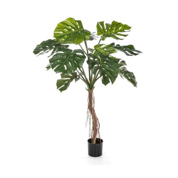 Deko Philodendron Monstera Deliciosa IDALINA, Wurzeln, 130cm