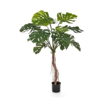 Kunstpflanze Philodendron Monstera Deliciosa IDALINA, Wurzeln, 130cm